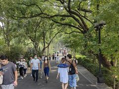 -西湖外事游船(花港观鱼码头)