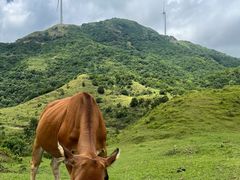 -天龙顶山地公园
