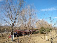 -永定河休闲森林公园