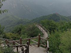 -大岭沟猕猴桃谷风景区