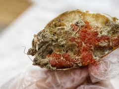 -莲花公园煎蟹(总店)