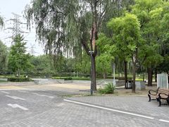 -立水桥公园