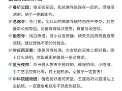-西双版纳傣族园