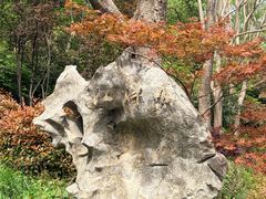 -西湖风景区-江洋畈生态公园