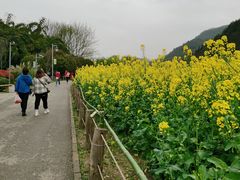 -贵阳市花溪国家城市湿地公园