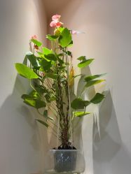 -S&G Beauty轻奢皮肤管理中心