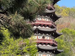 -牛首山文化旅游区
