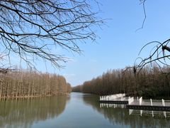 -上海海湾国家森林公园