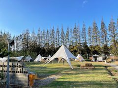 -前小桔亲子创意农场·草莓采摘·露营烧烤