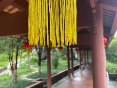 -广州神农草堂中医药博物馆