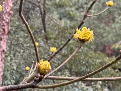 -溪口-滕头旅游景区