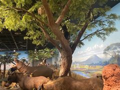 -陕西自然博物馆