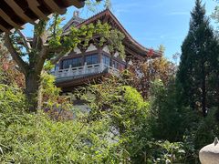 -管中炸鸡(建国道店)
