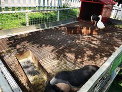 -观澜湖生态运动公社