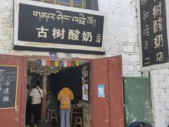 门面-古树酸奶(八廓南街店)