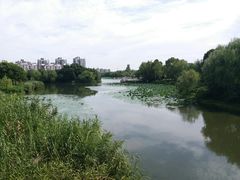 -新江湾城公园