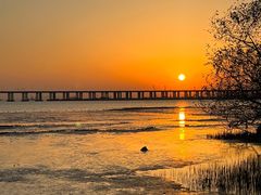 -宝安西湾红树林湿地公园