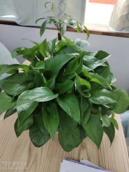 -痘院长·祛痘·科技美肤