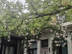 -何适山庄 ·可团建(水长城P2停车场店)