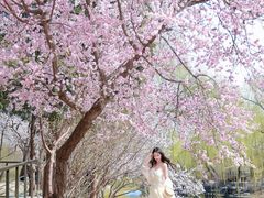 -安定门(地铁站)