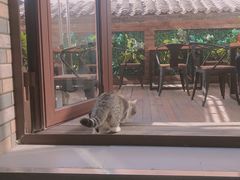 -IFIF 如果花園(宽厚里店)