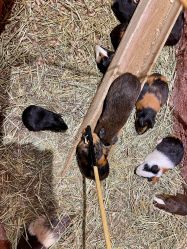 -Zoolung Zoolung动物主题公园(海信广场店)