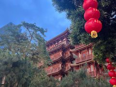 -大佛寺高级素食自助餐厅