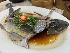 山坑鲩鱼-聚家渔村·寻味顺德(大良店)