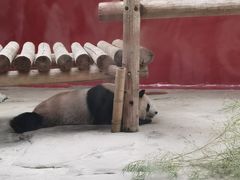 -杭州野生动物世界
