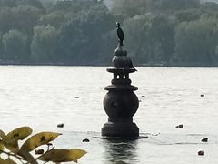 -西湖游船