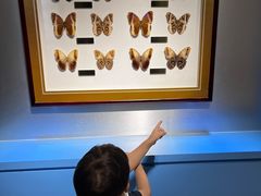 -上海昆虫博物馆