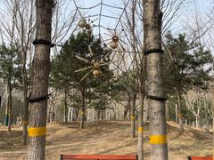 -回龙观体育文化公园