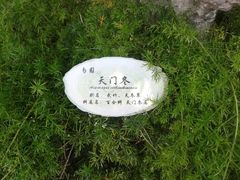 android_upload_pic-东莞市可园博物馆