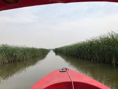 -白洋淀景区