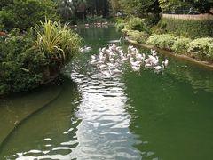 -九龙公园