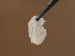 -丰尔粥食·顺德鱼生·干蒸排骨顺德菜(大良分店)