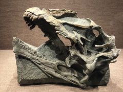 -自贡恐龙博物馆