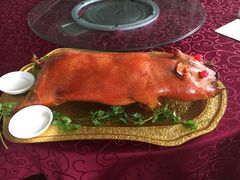 乳猪-新合益乡村农庄