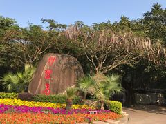 -野狸岛