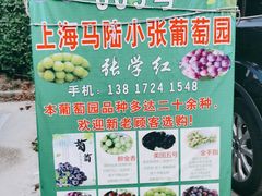 -马陆小张葡萄园农家乐