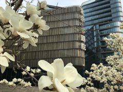 -北京喜剧院