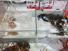 -万龙洲海鲜(大兴绿地缤纷城店)