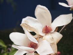 -锦江之星(广州海珠江泰路地铁站店)