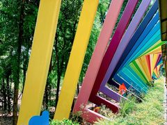 -合肥滨湖国家森林公园