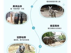 -广州长隆野生动物世界