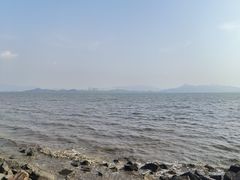 -深圳湾公园(南山区)
