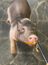 -Zoolung Zoolung动物主题公园(海信广场店)