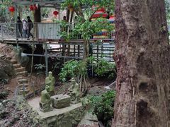 -七仙岭温泉国家森林公园