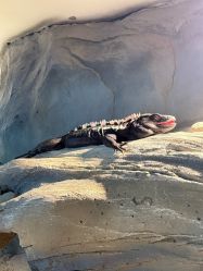 -Zoolung Zoolung动物主题公园(海信广场店)