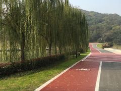 -龙寺生态园